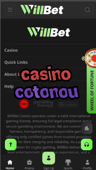 Casino Cotonou - Benin's Premier Gambling Destination-casinoorder.vip